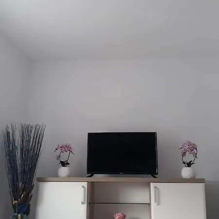 Apartament Apartament Octavian